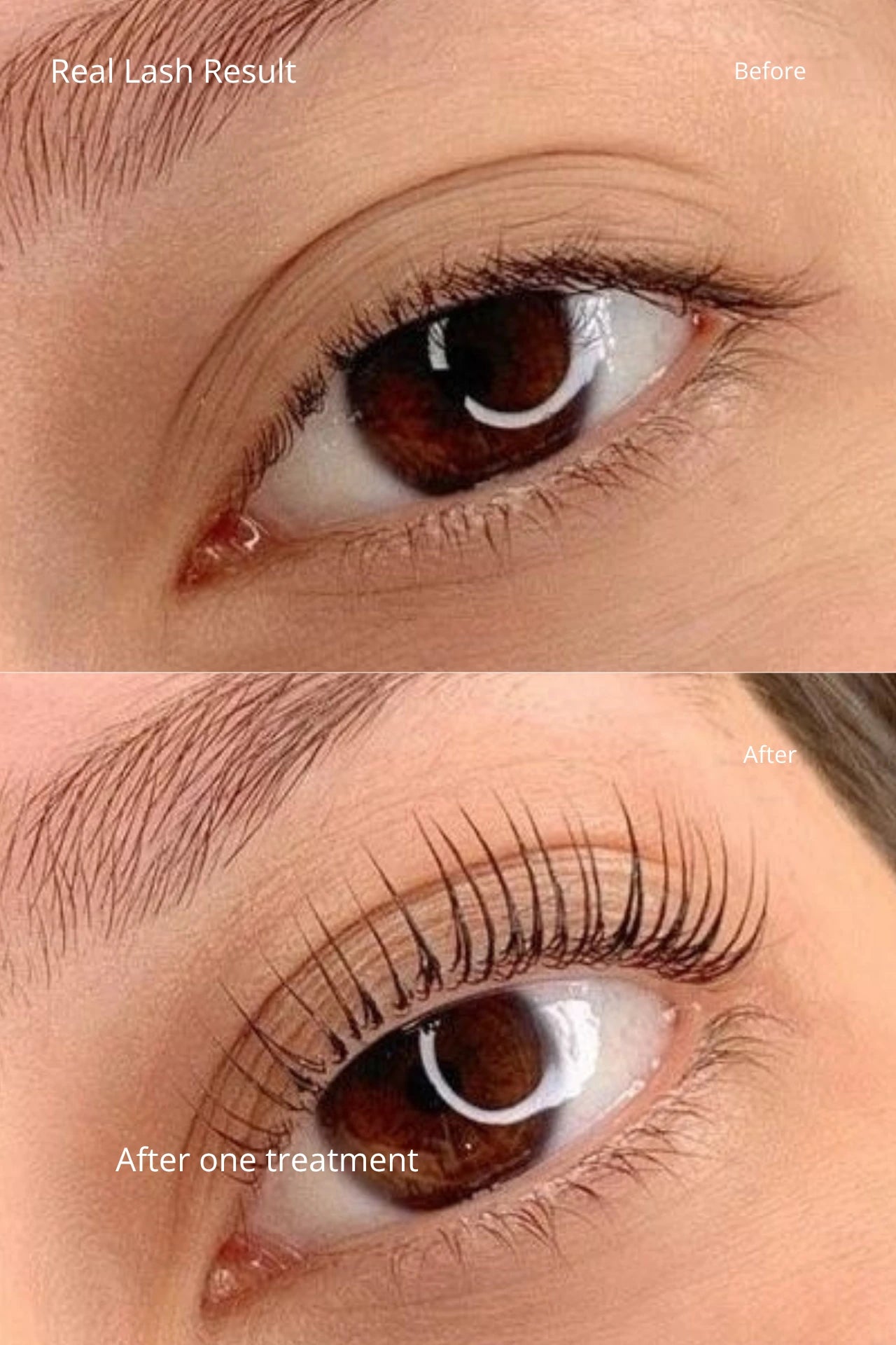 Lash Lift & Brow Lamination Kit