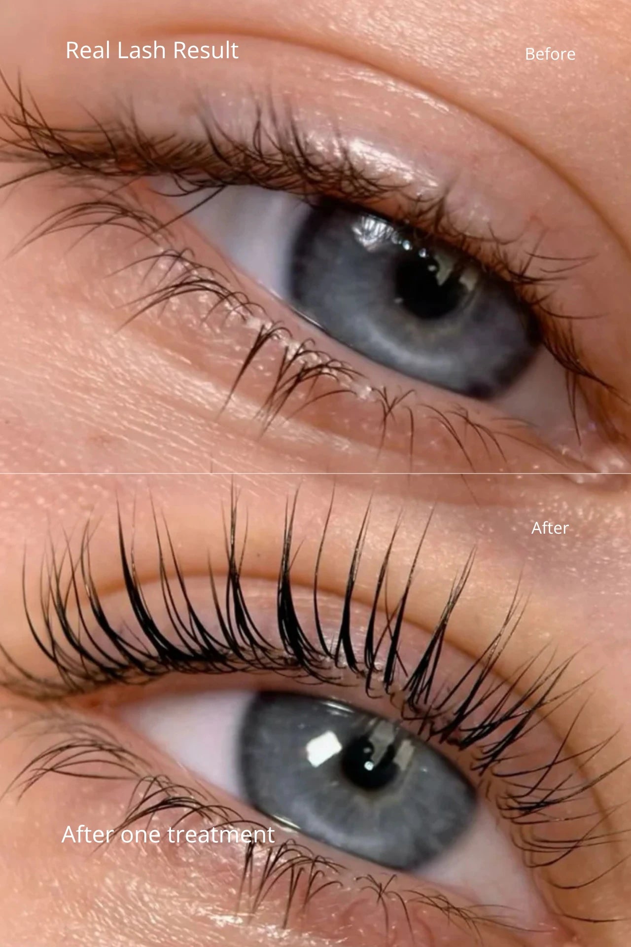 Lash Lift & Brow Lamination Kit
